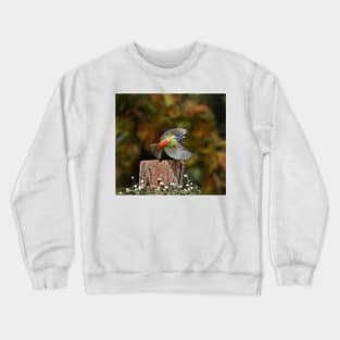 Painted Bunting Bird in Flying Crewneck Sweatshirt